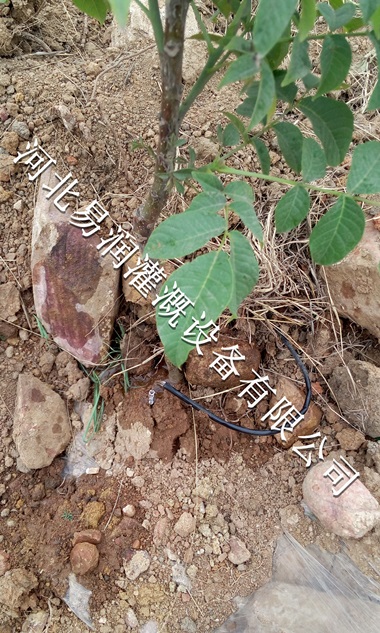 陕西专用梨树16mmPE管 小管出流多种规格