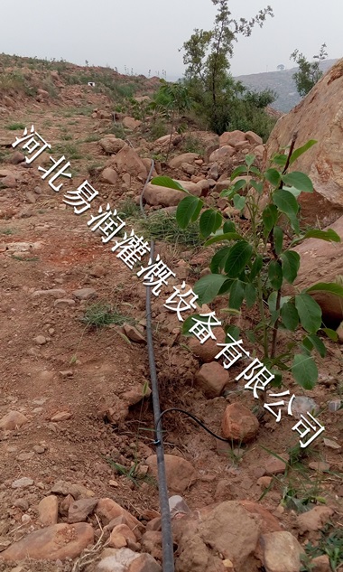 陕西梨树16mmPE管 小管出流价格