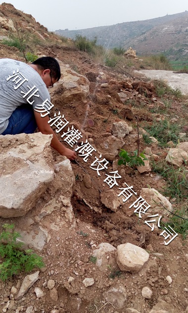 陕西梨树小管出流品质有保证 16mmPE管使用方便