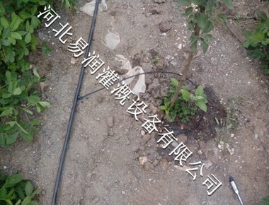 优质的16mmPE管的价格|陕西梨树小管出流量大从优