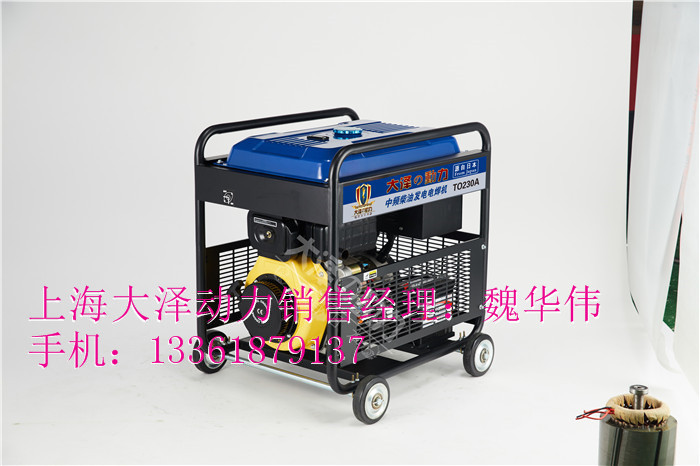 TO230A-柴油发电电焊机