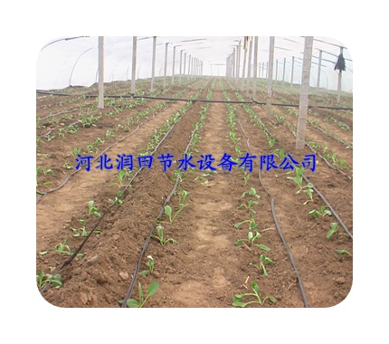 山西黎城县内镶贴片式滴灌带制造专家/配套配件齐全