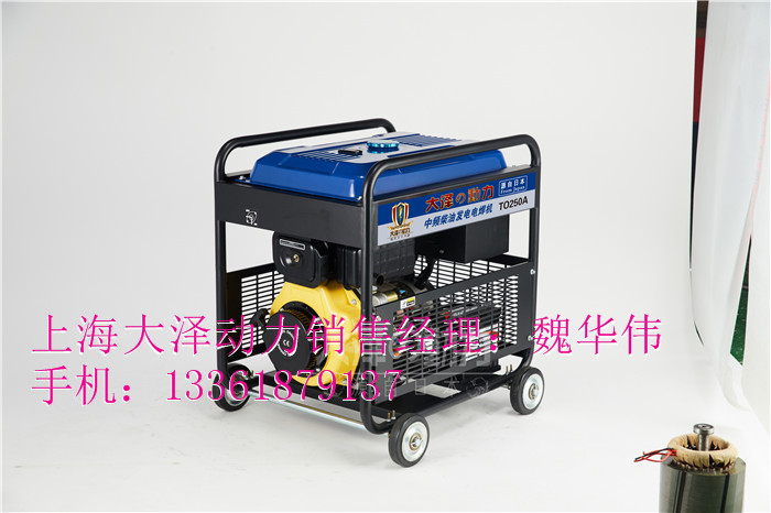 TO250A-柴油发电电焊机大泽购买