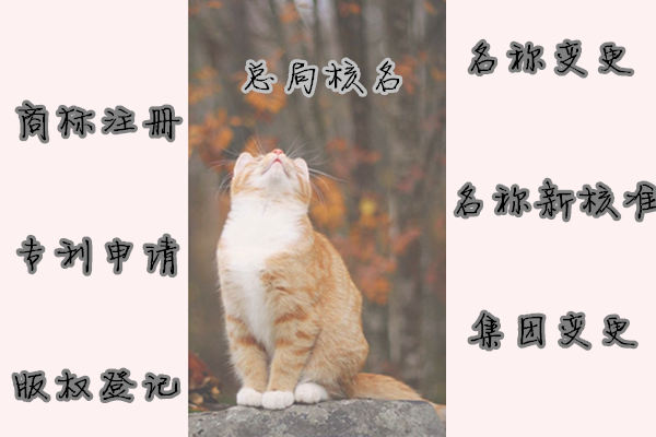 不含行政区划的企业名称核准 国家工商总局企业名称核准的原则
