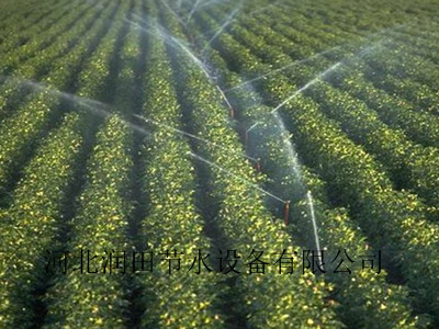 软带优势 山西大同广灵县大田喷灌喷头