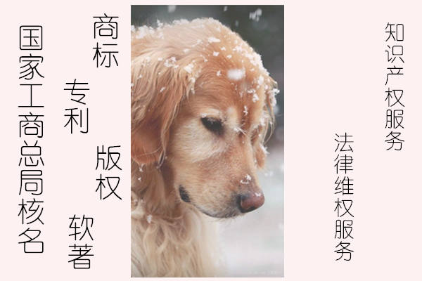 总局核名总局企业申请登记名称有什么要求