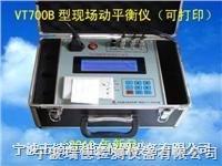 浙江VT800B现场动平衡仪