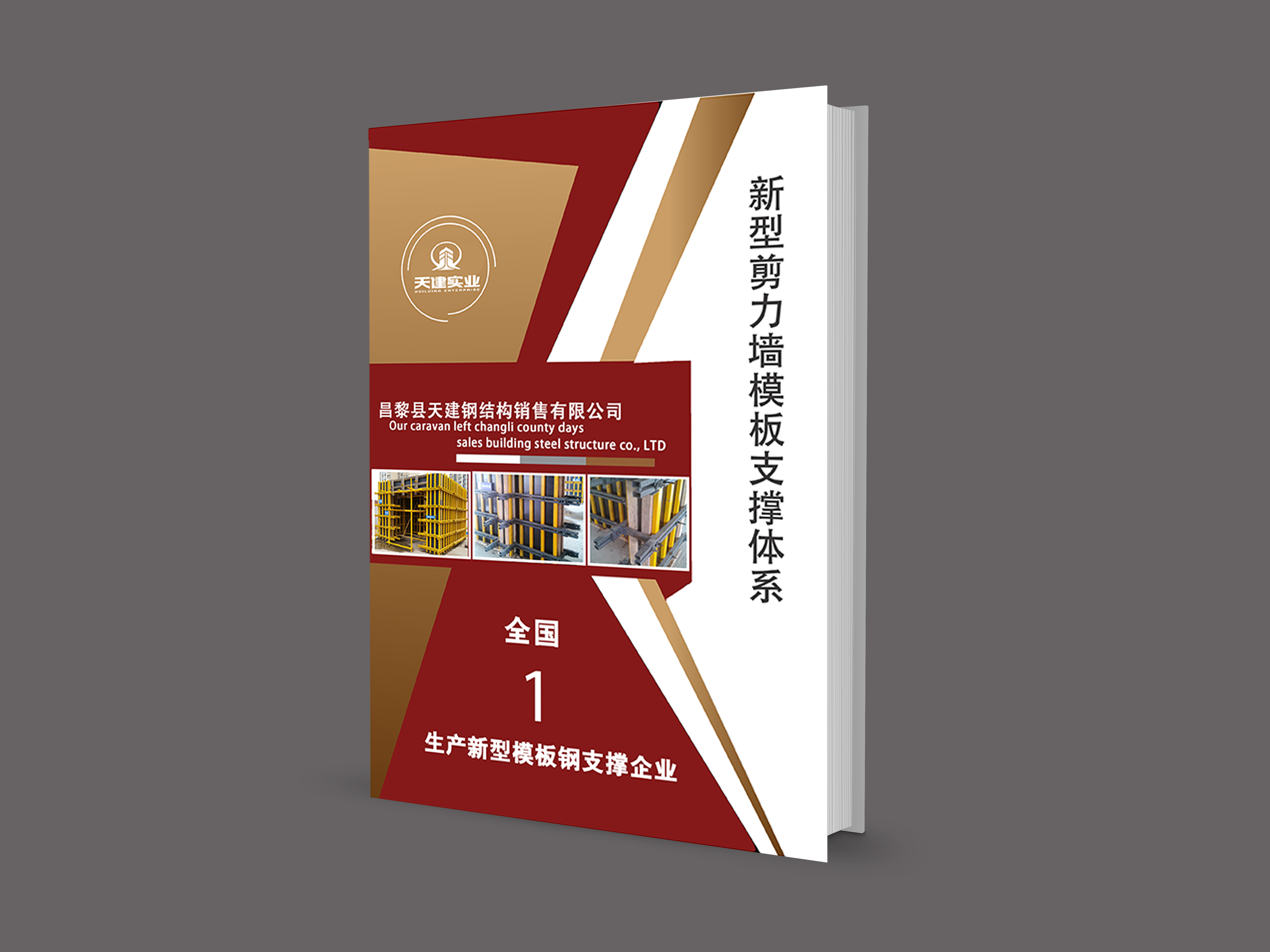 新型方钢加固体系丨高级VIP通道：0335-3889991