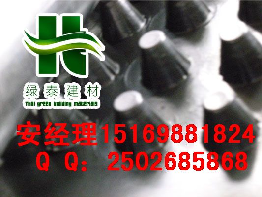 宁波1.2公分1.5公分30高车库排水板