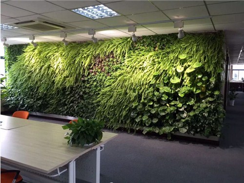 相当新室内植物墙加工价格 供应生态植物墙