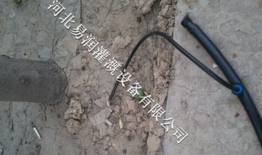 陕西榆林梨树果园灌溉|果树滴灌简易技术