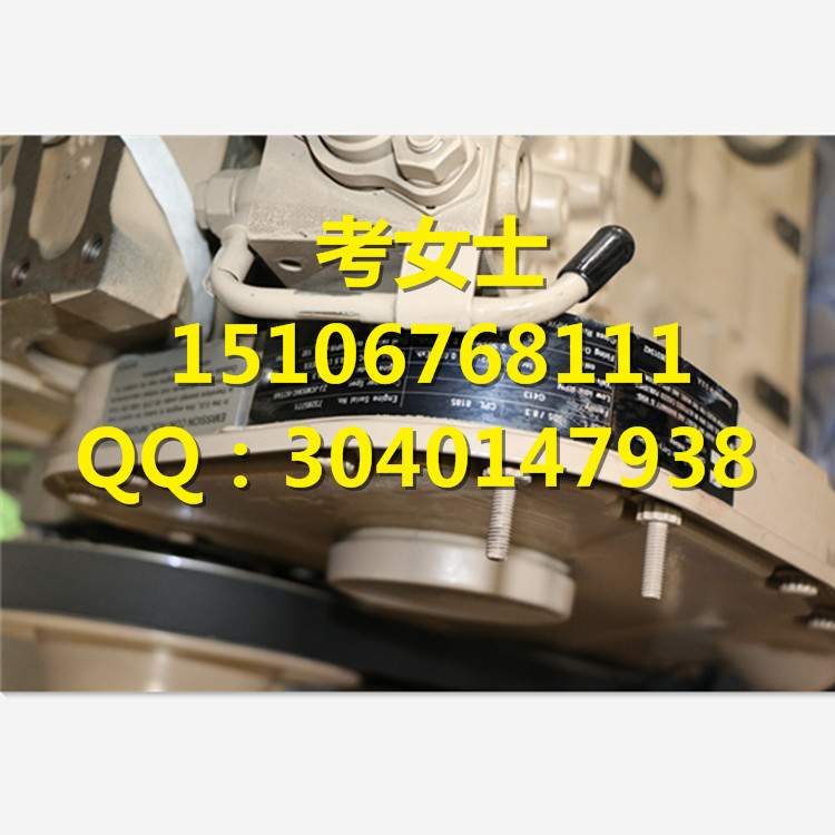 国内速达：康明斯QSB6.7四配套【燃油泵总成】