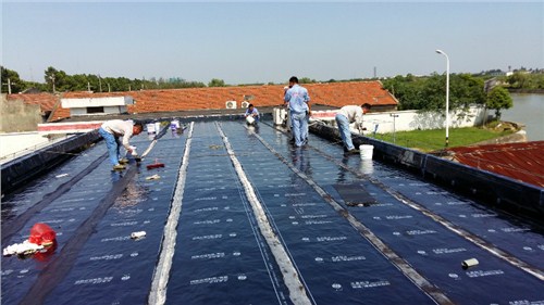 屋面防水保温层施工 上海屋面防水公司 专业屋面防水 雨喆供