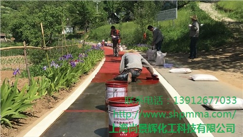 陶瓷颗粒路面 彩色防滑路面施工工艺 彩色防滑路面 尚景辉供