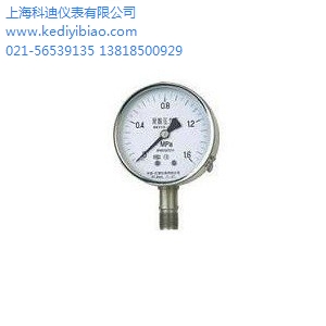 科迪供 YTS-100耐酸压力表 上海耐酸压力表