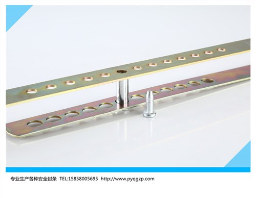 集装箱封条锁集装箱封箱号封条锁温州朴一轻工供