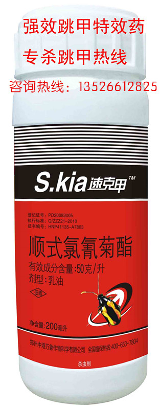 帆布伸縮軟連接,專(zhuān)業(yè)生產(chǎn)技術(shù) ,帆布伸縮軟連接,值得信啦