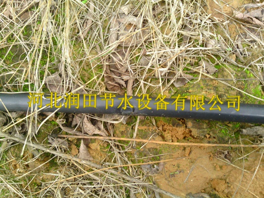 过滤器出流稳定 陕西榆林市佳县小管出流