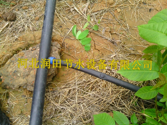 陕西榆林市佳县小管出流规格 过滤器