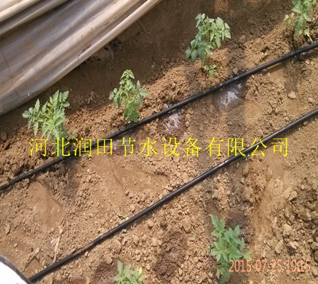 网式过滤器价格低|河北张北县渗水带