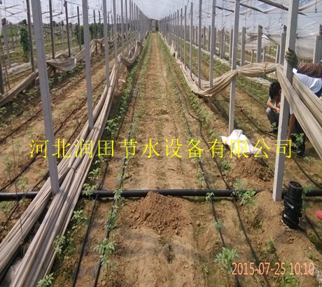 滴灌厂家供应河北张北县渗水带 