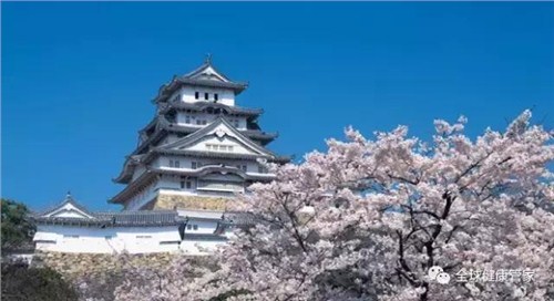 日本癌症体检_日本癌症体检配套服务_日本体检服务海外挂号网供