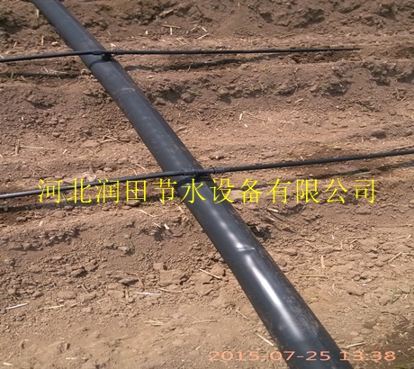 滴灌厂家|河北张北县渗水带厂家