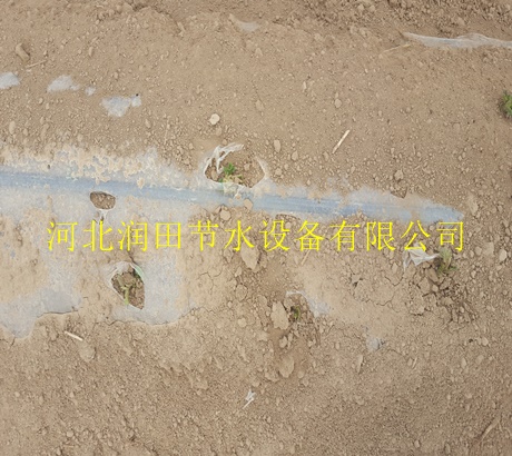 河北张北县滴灌厂家专业生产渗水带