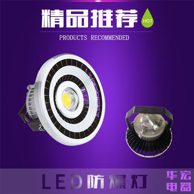  节能免维护LED防爆灯具