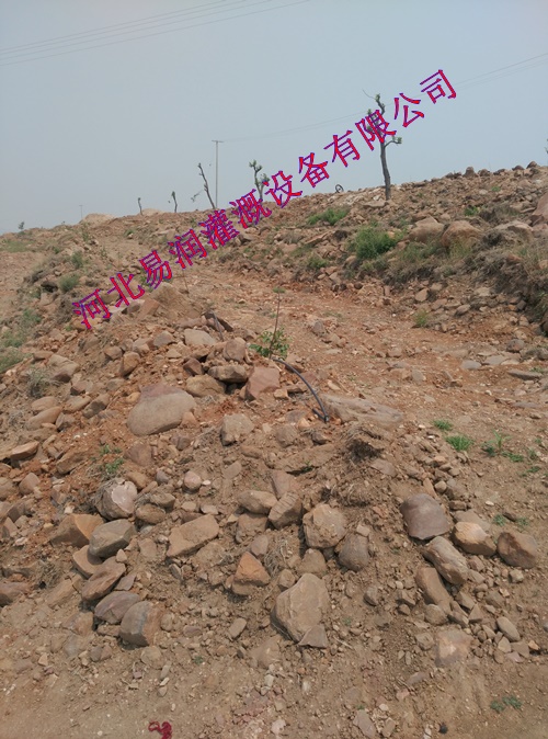 河北果园灌溉 核桃果树滴灌小管出流质优廉价