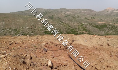 河北核桃果树滴灌小管出流简易 果园灌溉技术