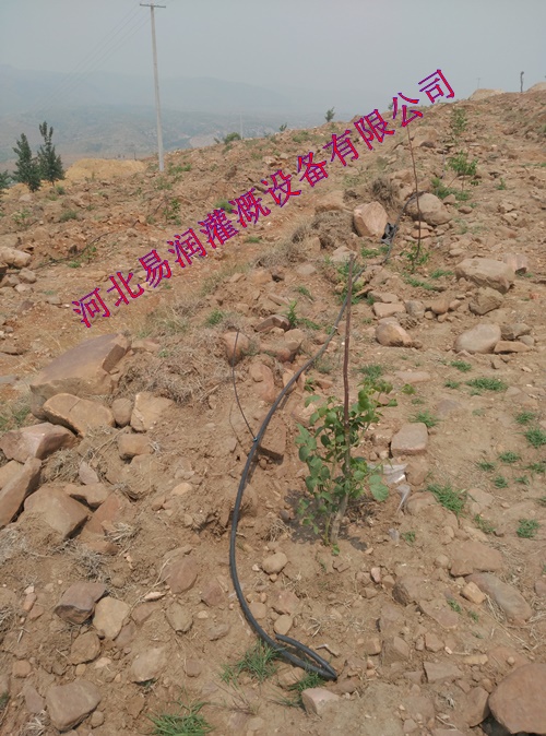 促销果园灌溉 河北核桃果树滴灌小管出流多种型号滴灌