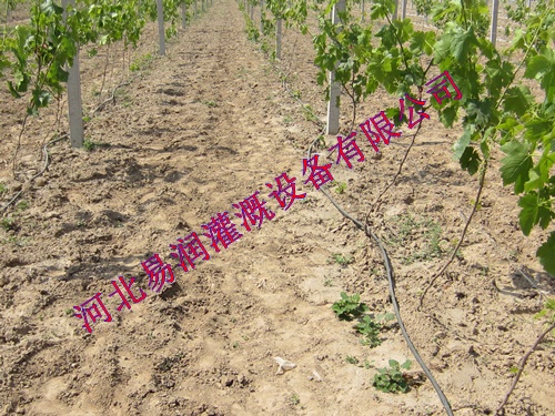 农田滴水管价格|湖北丘陵滴灌管厂家