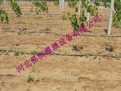农田滴水管节水设备|湖北丘陵滴灌管