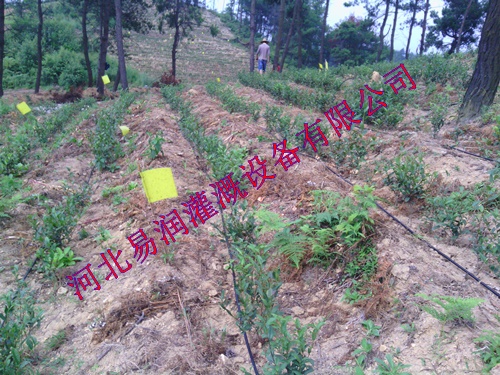 农田滴水管批发|湖北丘陵滴灌管