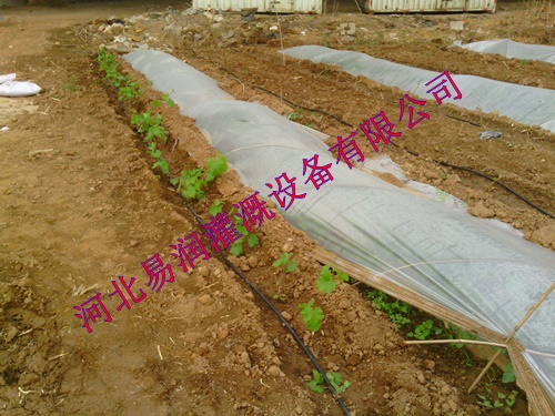高效节水设备膜下滴灌|湖北丘陵滴灌管、农田滴水管