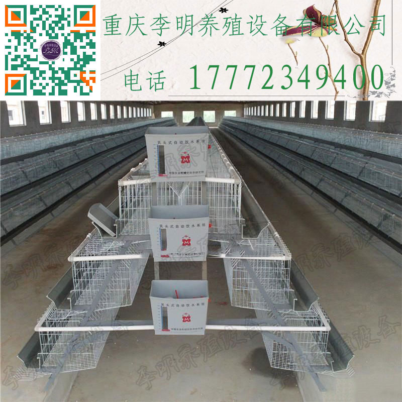 蛋鸡笼 阶梯蛋鸡笼 层叠蛋鸡笼