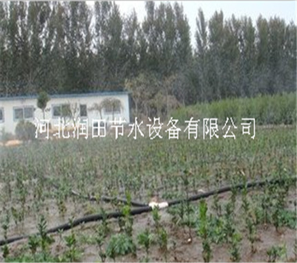 河南焦作市蔬菜微喷用微喷带|节水灌溉膜下喷水带