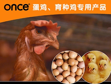 专业的百韧斯保温灯制造商，百韧斯贸易屈一指