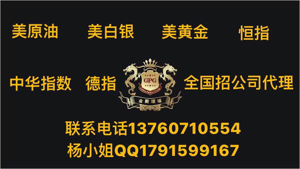 金殿环球金融创业赚钱项目找广东华大纵横