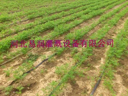 欢迎咨询河南滴灌带 品种齐全滴水管带