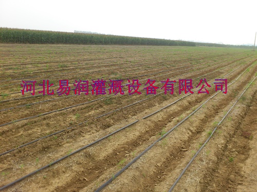 河南全国畅销滴水管带 滴灌带应用介绍