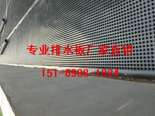 2公分2.5公分3公分蓄排水板湛江(供货厂家)