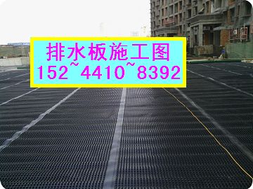 天津6公分车库排水板价格=高型号塑料车库排水板