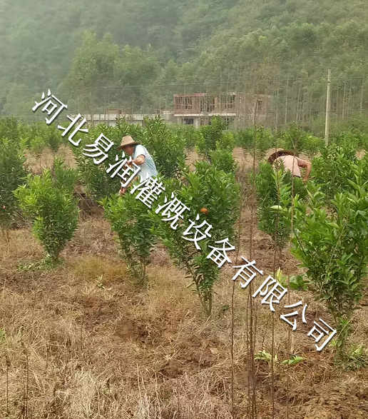 湖北丘陵小管出流 果树灌溉系列