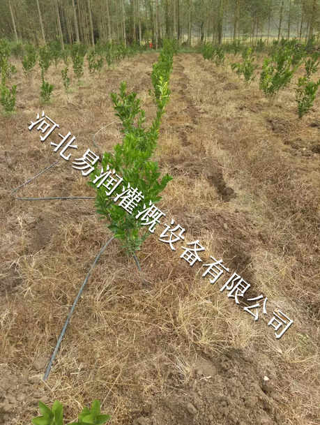 优质的果树滴管的价格|湖北丘陵小管出流