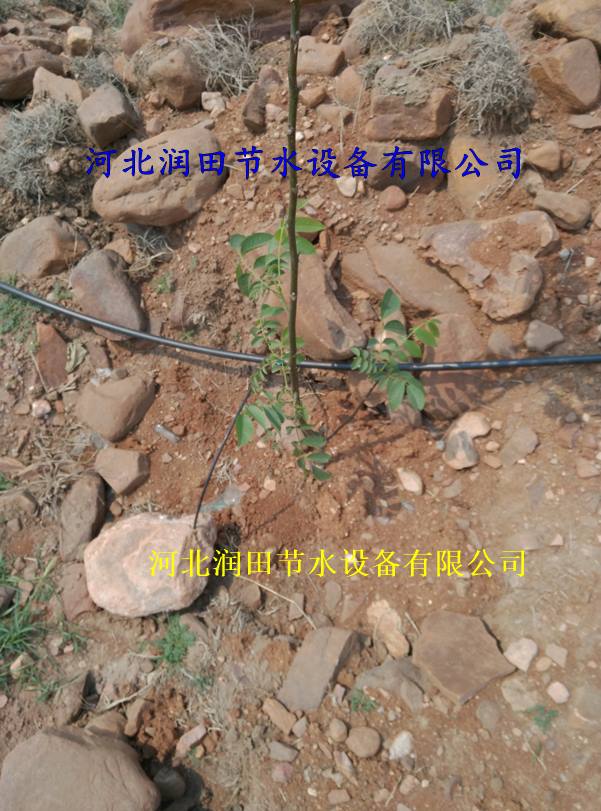 陕西佳县网式过滤器|果树滴灌配件安装