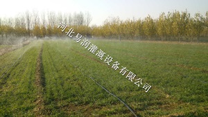 低价喷灌带网式过滤器  河北土豆微喷带喷洒