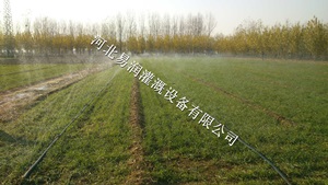 河北土豆喷灌带 网式过滤器|微喷带