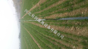 网式过滤器 喷灌带规格 河北土豆微喷带售价